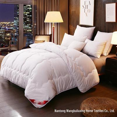 Brushed Comforter: Thickened Silk Cotton Quilt for All Seasons