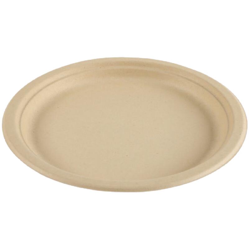 Disposable Sugarcane Pulp Paper Plates