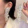 Zinc Zinc Alloy Crystal Beads Ear Drop Rhinestone Long Ear Drop Brilliant White Flower Earrings  Women
