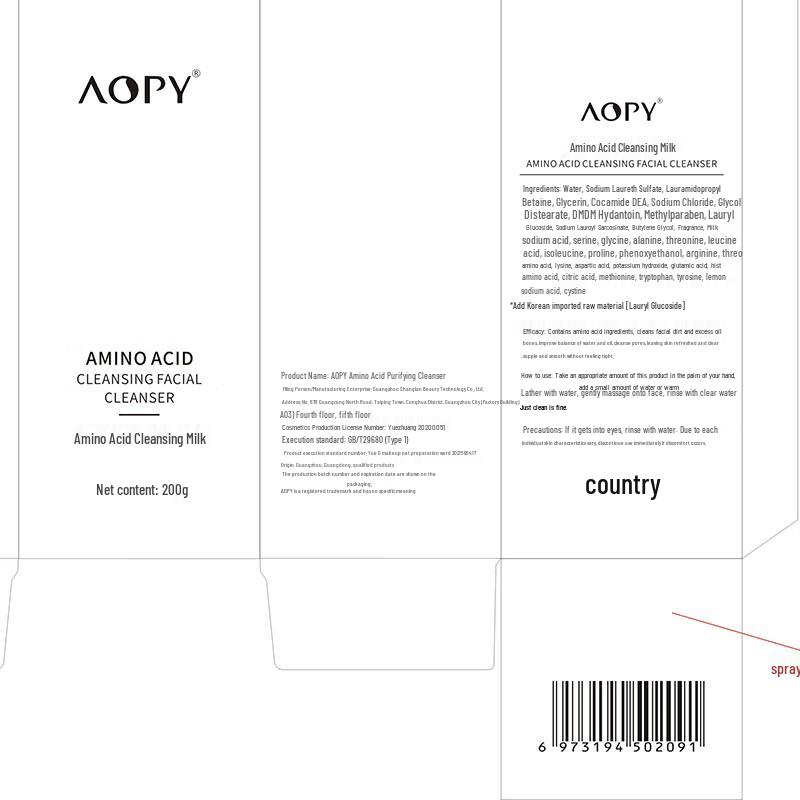 AOPY Amino Acid Purifying Facial Cleanser