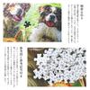 MISITU 1000-Piece Jigsaw Puzzle, Landscape Painting, Pet Dog, Animal, Gift, Birthday, Christmas, Stylish Interior, Dog Tea Party (50 x 70 cm)