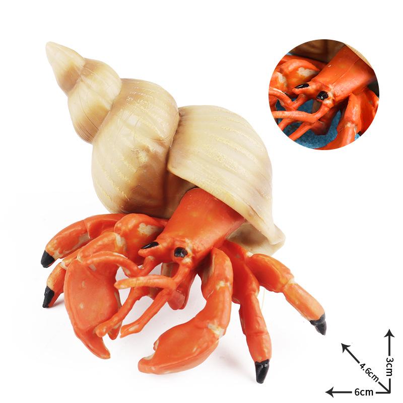 Children's Cognitive Toy: Hermit Crab Marine Animal Model Ornament
