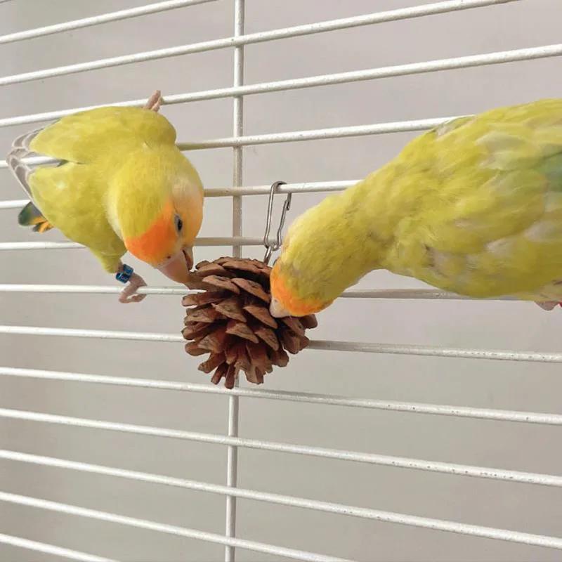 Natural Wood Pine Cones Pet Parrot Toy Bird Biting Exercise Climbing Standing Wooden Toys Pet Parrot Macaw Hammock Bird Toy