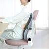Chair Back Cushion Memory Foam Lumbar Support Cushion with Adjustable Slider Ergonomic Back Support for Office Workers Car Drivers Gamers