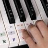 Newbie Piano Key Stickers Set for 88/61/54/49 Keys, Includes Removable Colorful Note Labels