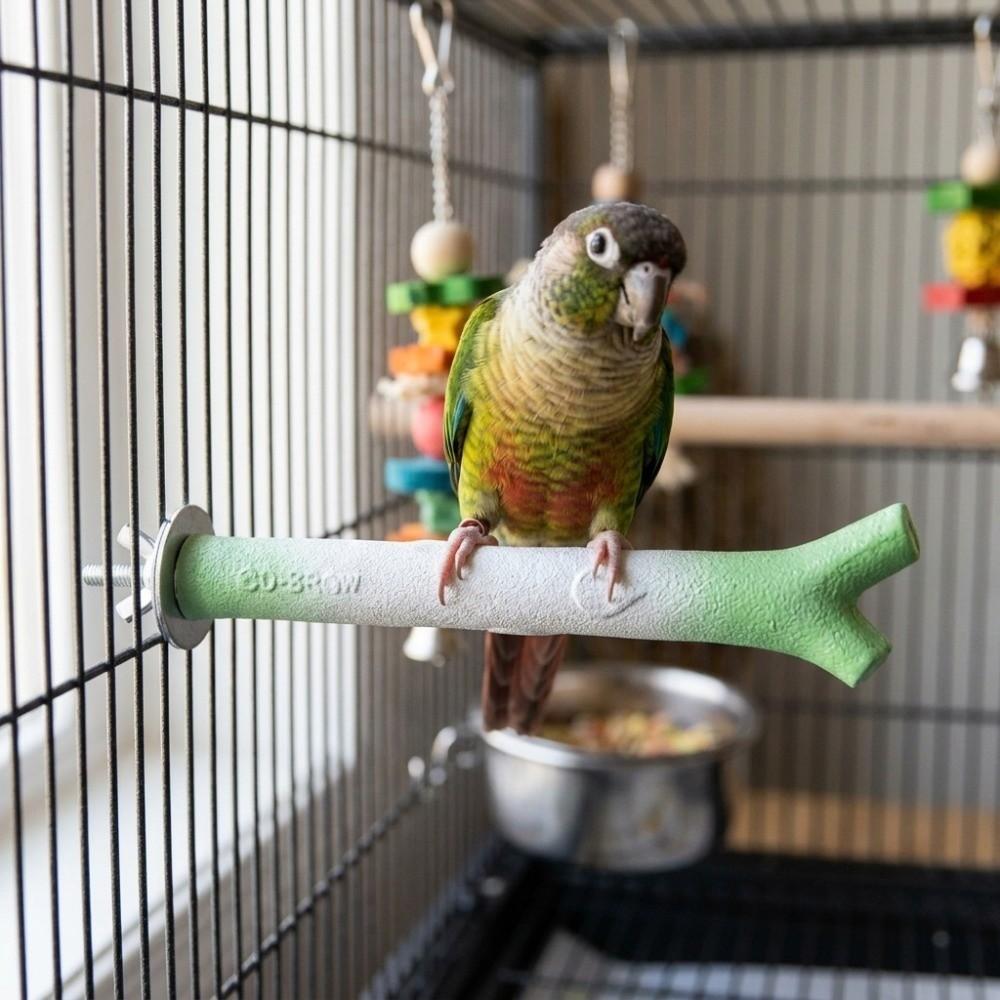 Screw Fixation Bird Station Pole Branch-Shaped Parrot Grinding Stick  Training Perch