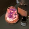 D2 Novelty Natural Himalayan Salt Table Lamp Night Light Natural Raw Stones Crystal Essential Oil Diffuser Light Gift Decor Lamp