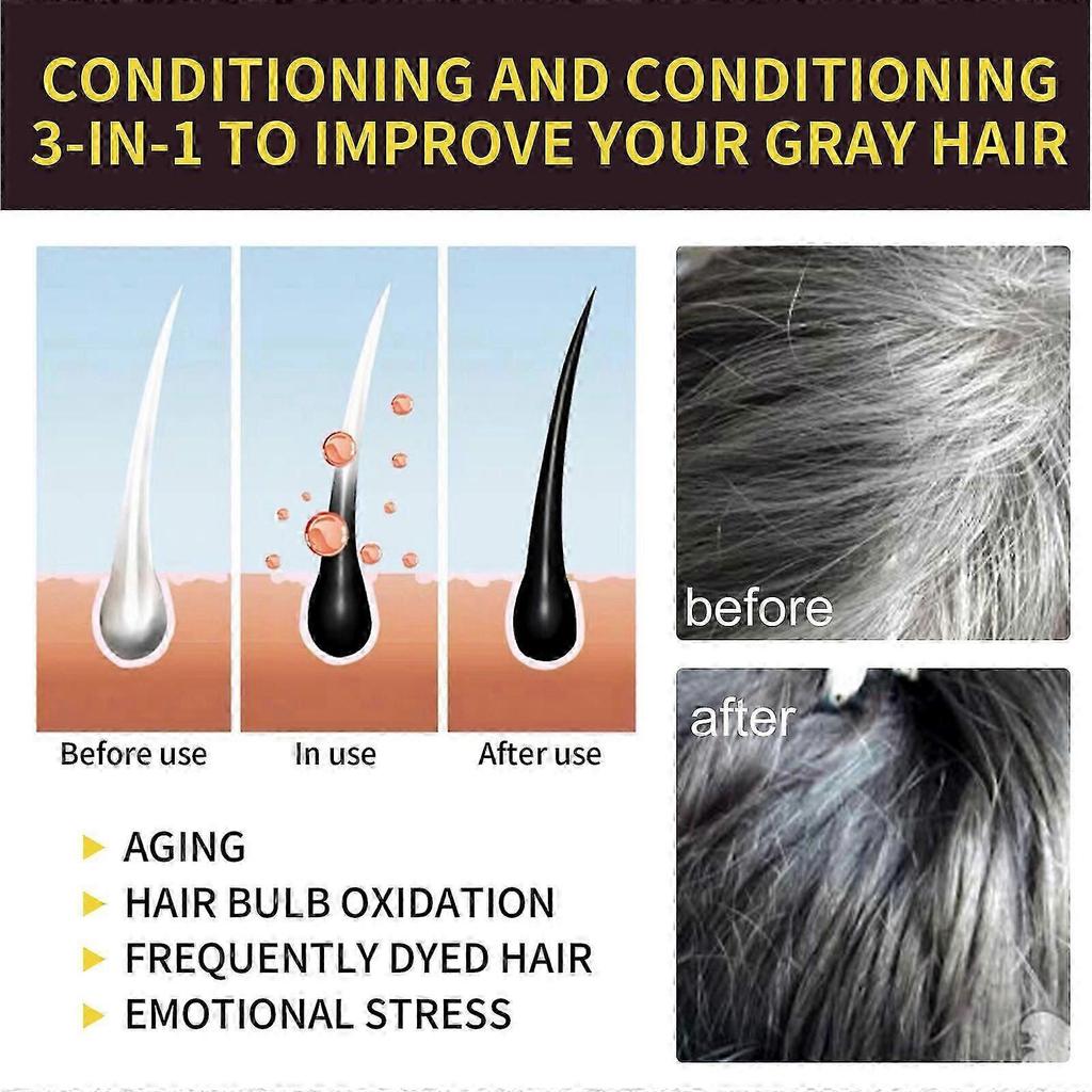 Black Hair Dye Shampoo 3 In 1 Champu Para Canas for Gray Coverage, Black Pure Nature_i*