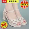 Real soft leather fish mouth mesh hollowed sandals women's thick heel summer new one-word buckle middle heel versatile non-slip shoes children