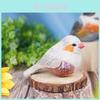 Wooden Bird Decor With Natural Finish For Office And Home Gift Ideas