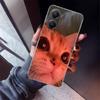 Pet Cat Funny Memes Phone Case For Xiaomi Poco X5 X6 X7 Pro F7 Ultra M7 Redmi 15C 15 13C 13 12C 12 10 10C 10A 9 9C 9T 9A Cover P