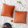 30x50cm 45x45cm 50x50cm Throw Pillow Covers with Pom Poms Soft Particles Velvet Solid Gift Cozy Luxury Cushion Covers Home Decor