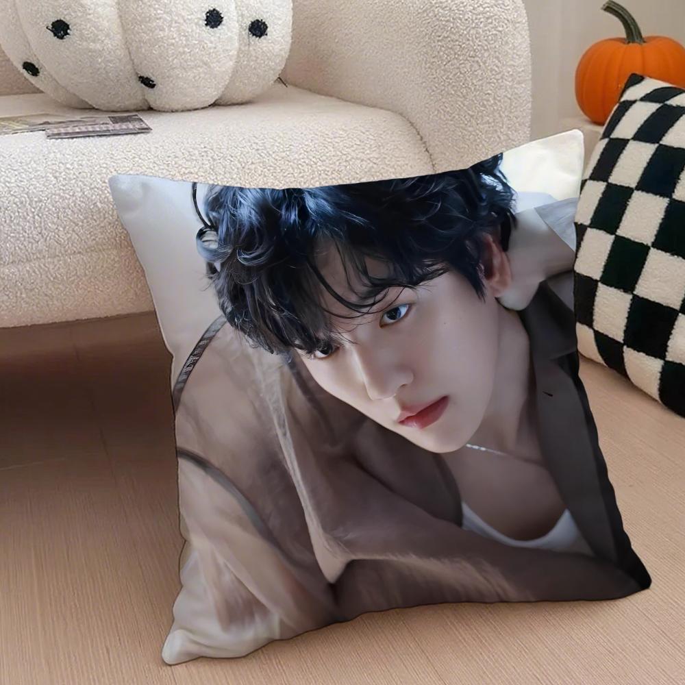 Classic Korean Handsome Singer BByun Baekhyun Cushion Cover Throw Pillow Cover Hidden Button Durable Polyester Chair Cushion