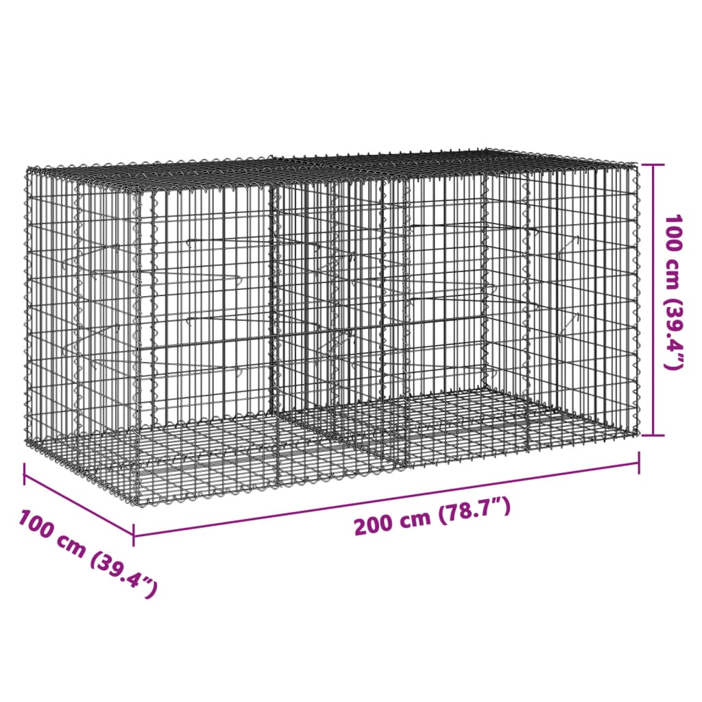 Gabion with Lid 200x100x100 Cm Galvanized Iron