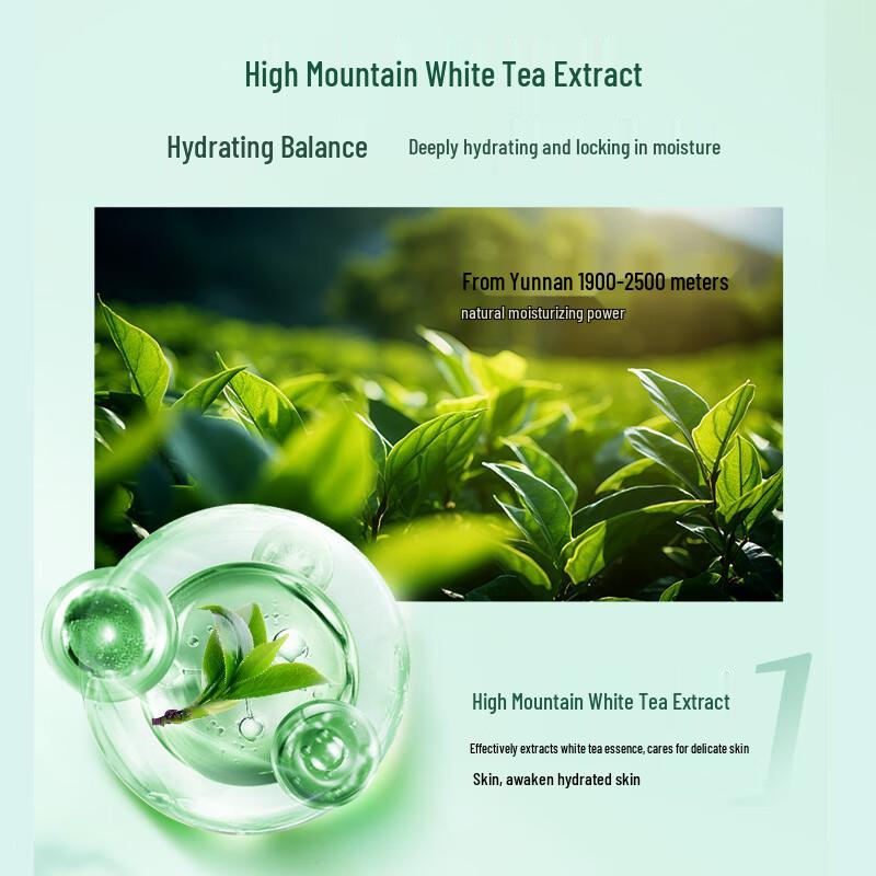 DR PLANT Botanical Hydrating & Brightening Sheet Masks