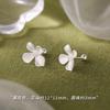 1 pair of earrings