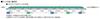 TOMIX N Gauge JR H5 Series Shinkansen Additional Set 98571 Railway Model Train Hokkaido/Tohoku