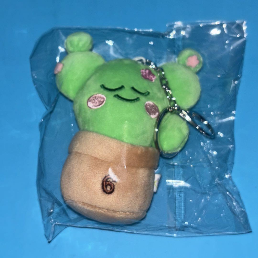 

[USED] IU Ae-I-Yu Fan Concert Bonus Non-Sale Goods Dayugi IU