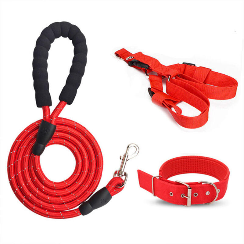 Dog Harness, Leash, Necklace, and Leash Set of 3