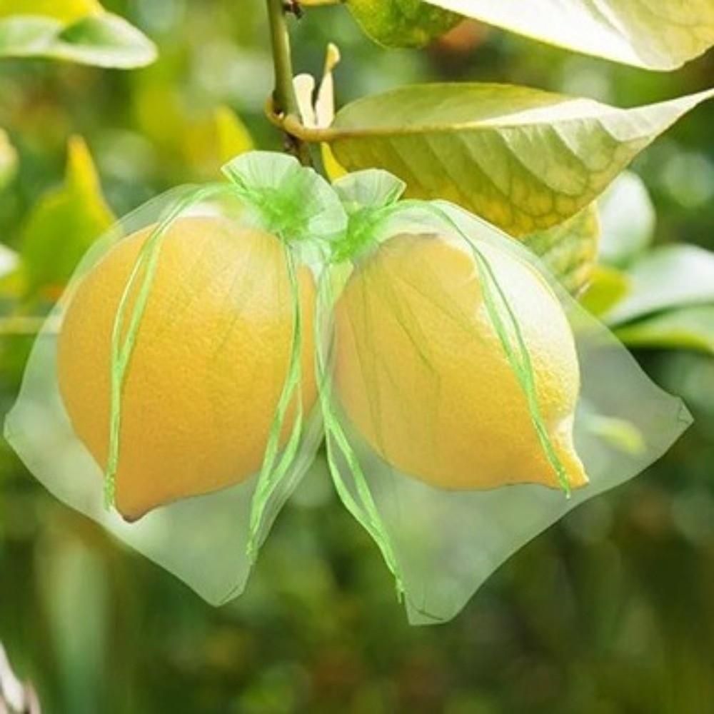 100Pcs with Drawstring Fruit Protection Bags Organza Anti-Bird Netting  Wedding Gift