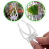 Cute Small Pet Bird Food Holder Parrot Clip Cuttlefish Bone Feeder Device Clamp Bird Cage Accessories