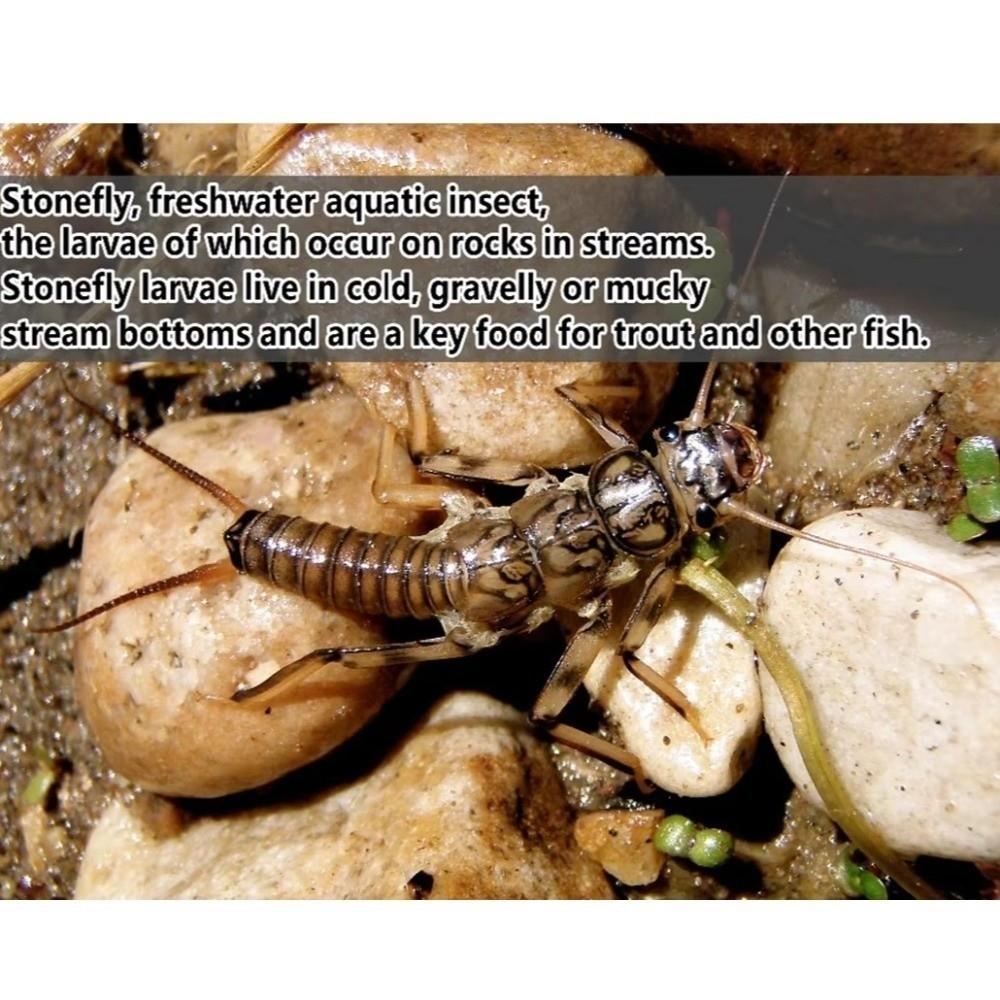 20pcs Soft Material Fishing Bait Creek Fishing Bluegill Lure 2025 Trout Lure  Perch Fishing