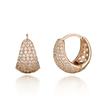 Cranne 14K Goldpin Party One-Touch Earrings C24Egp191
