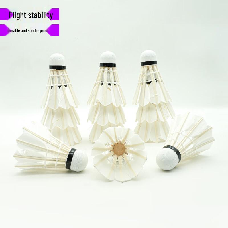 Shengwei Duck Feather Badminton Shuttlecocks (12-Pack)