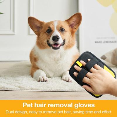 Köpek – Köpek bakım ürünleri