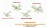 Infini Model 1/350 IMP Series Etched Parts for German Navy Aircraft Carrier Graf Zeppelin (TR Model) - Plastic Model Kit Parts IMP3524