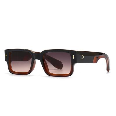 Trendy European-American Square Sunglasses for Women - Model 6035