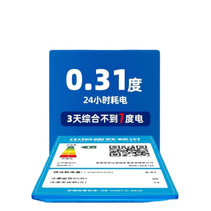 Rongshida Mini Double Door Energy-Efficient Refrigerator CN plug (adapter included)