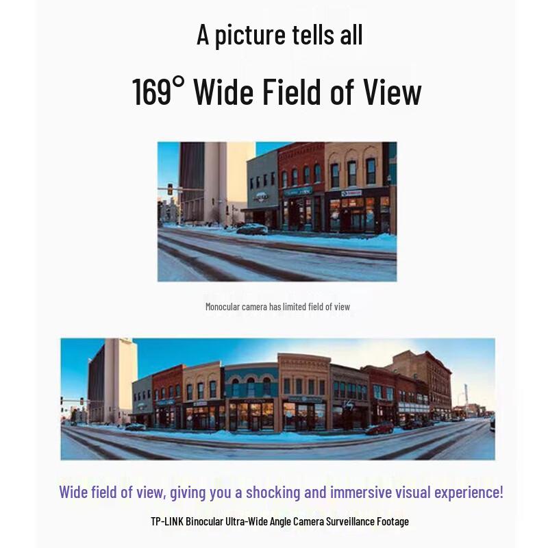 TP-Link HD Wi-Fi Panoramic Security Camera TL-IPC548VP-A4 CN plug (adapter included)