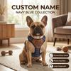 Custom Personalized Name Padded Dog Vest Harness Adjustable for Puppies Small Medium Large Dogs Cats Pet Walking Supplies