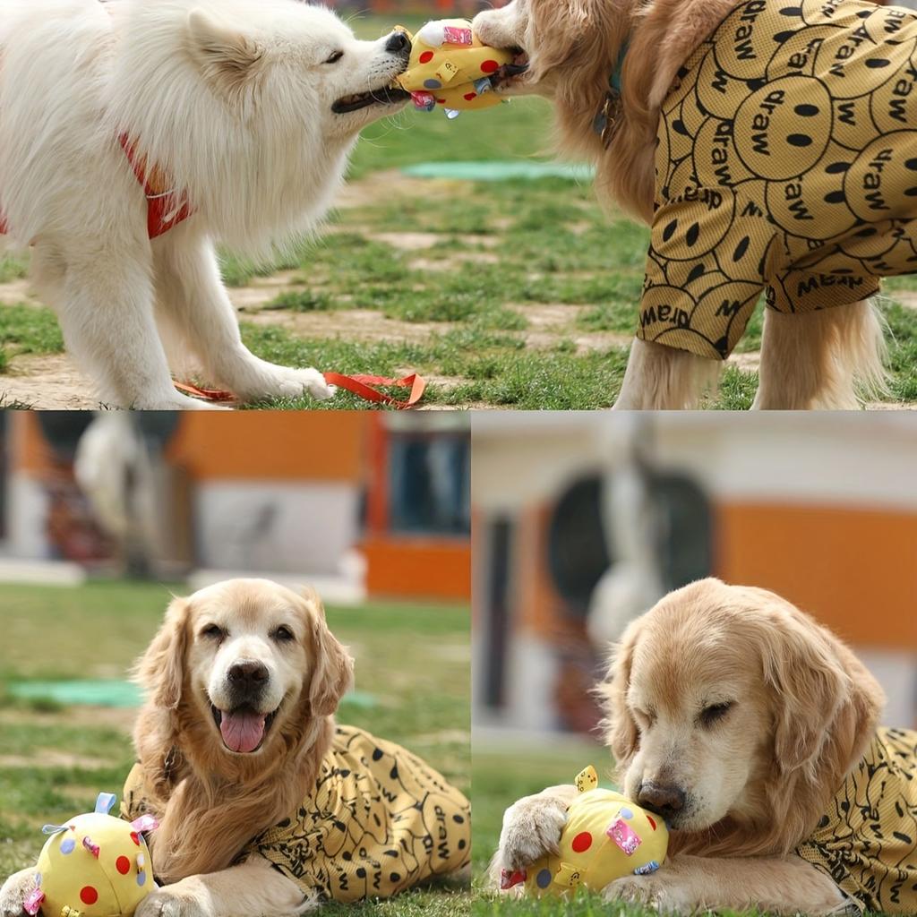 Pet Toys Vocalization Interaction Resistant To Biting Cats And Dogs Toys