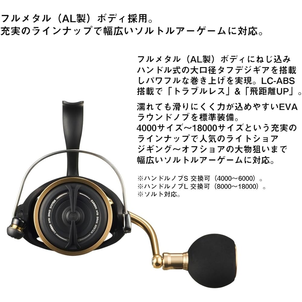 Daiwa Spinning Reel 23BG SW 6000D-P