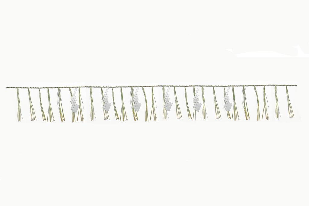 Shimenawa (barajime) for Shinto Rituals, 9 Shaku (approximately 295cm), Made In Niigata Prefecture