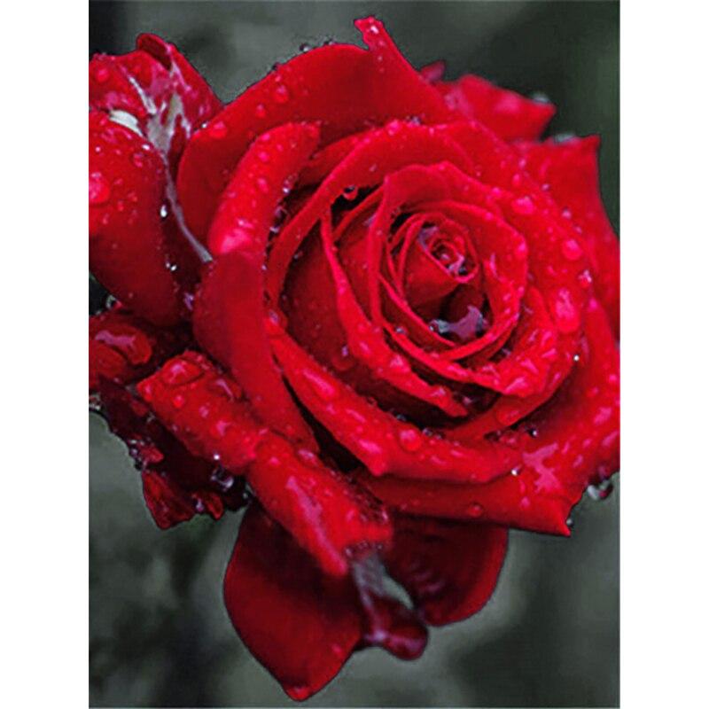 

DIY полная круглая алмазная живопись роза Алмазная вышивка черный, белый цвет мозаика распродажа картина горный хрусталь домашний декор подарок Full Round 30x40CM