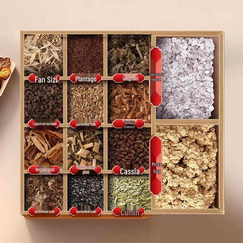 CHIGO Electric Heated Sea Salt Waist & Abdomen Massager CN plug (adapter included)