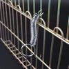 20Pcs Bird Cage Door Spring Hook Rustproof Wire Lock for Rabbit Chicken Parrot Quail Pigeon Pet Enclosure Easy Install Closure