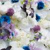 Uflower Artificial Flower Wall Roll-Up White & Purple Fabric Floral Backdrop for Wedding Event Party Decorations Curtain