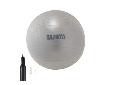 TANITA Size Gym Ball Silver TS-962