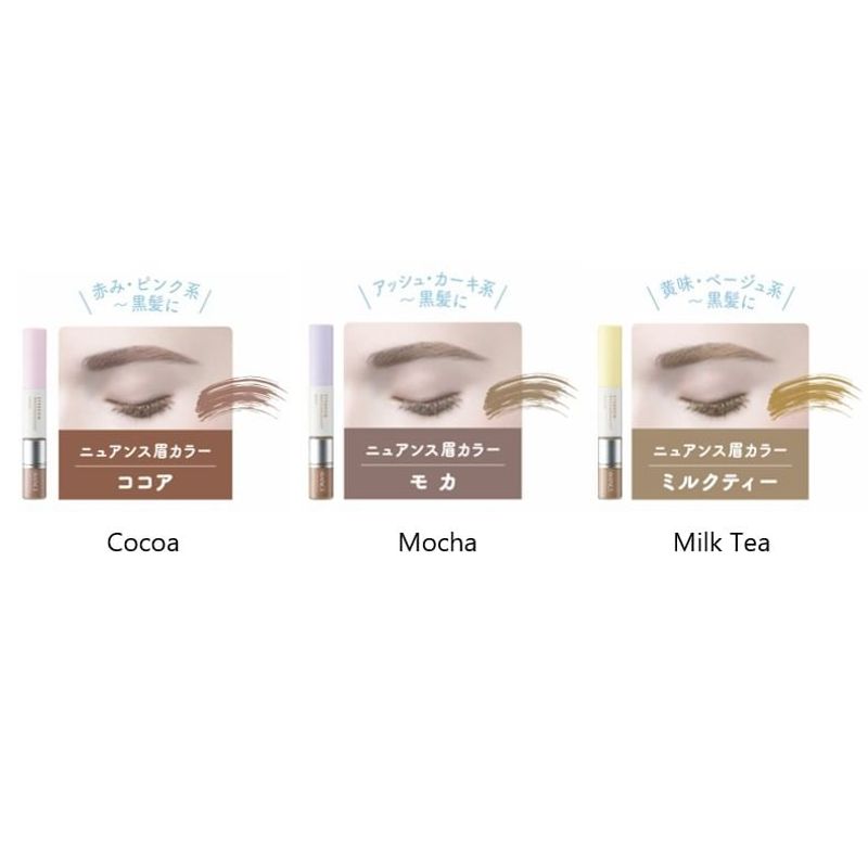 AVANCE - Eyebrow Mascara & Coat