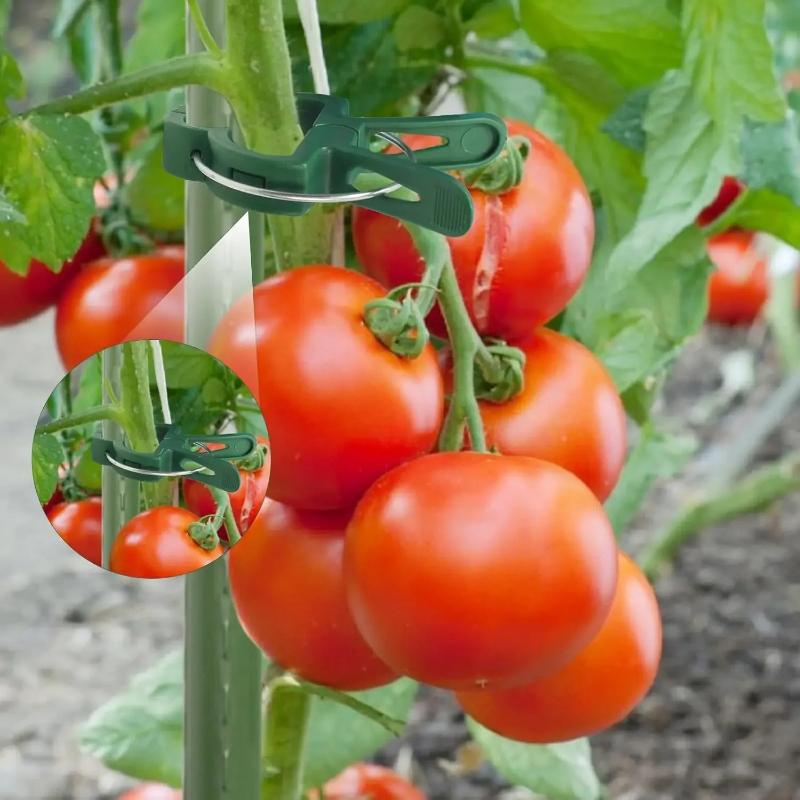 15/30Pcs Reusable Plant Fixed Clips, Greenhouse Vine Support Bracket for Flower, Vegetable & Tomato Stem Fixing Garden Tools