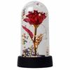 Eternal Rose in LED Glass