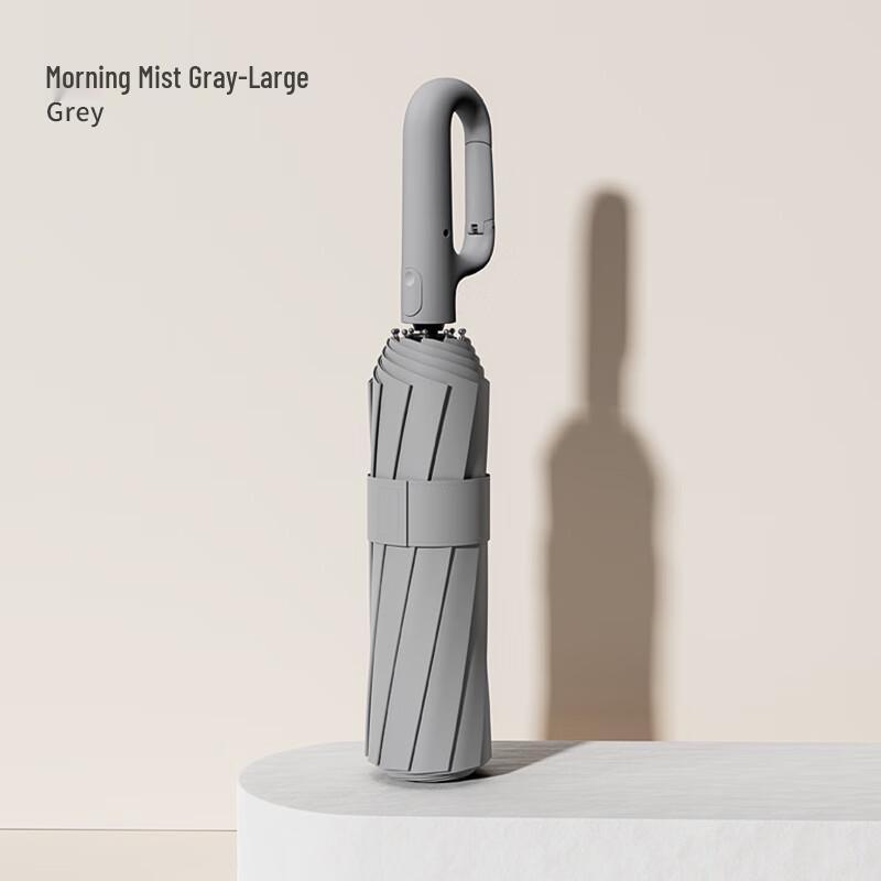 Fully Automatic 10-Rib Business Travel Umbrella