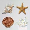 3 Pcs Beach Wall Decor Wooden Seashell Starfish Wall Decoration Rustic Ocean Coastal Nautical Wall Art for Living Room Bathroom Balcony
