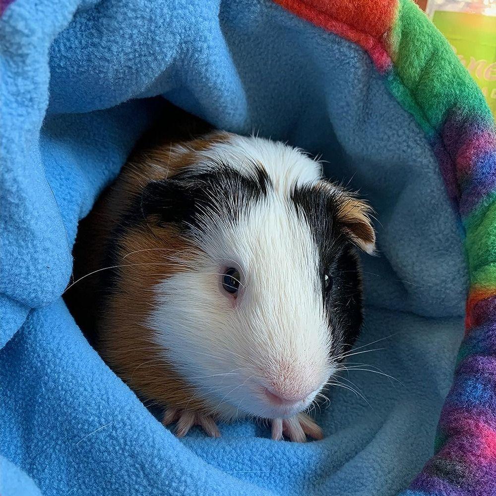 Interaktiver Meerschweinchen-Schlafsack mit Fleece gefüttert Hamster-Versteck Gemütliches Baumloch-Nest Kleines Kaninchen