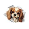 Cute Dog Toilet Stickers Bathroom Decoration Stickers Door Stickers Wall Waterproof Self-adhesive Decals