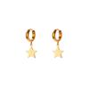 Stainless Steel Star Hoop Earrings For Women Men Gold Color Star Earrings Wedding Ear Buckle Jewelry Christmas Gift aretes
